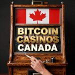 High RTP Crypto Casino for Canadian Players 32-A-single-unified-product-photography-shot-no-grid.jpg